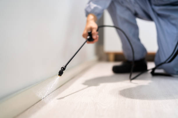 Licensed Cockroach Control service in San Joaquin, CA - Nex Pest Control