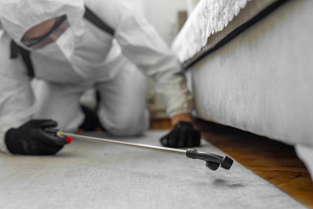 Professional Cockroach Control technician working in San Joaquin, CA