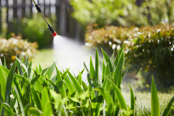 24/7 Emergency Cockroach Control experts in San Joaquin, CA