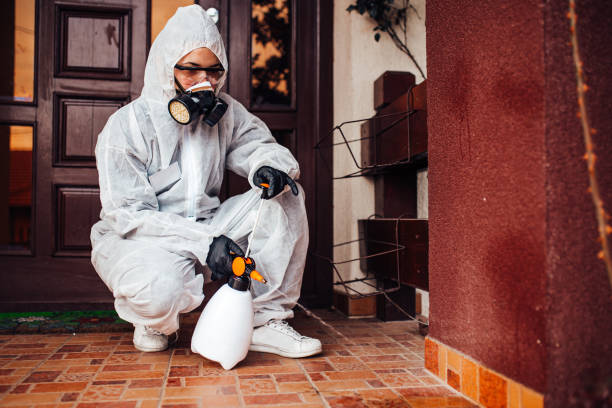 Reliable Cockroach Control contractor in San Joaquin, CA by Nex Pest Control