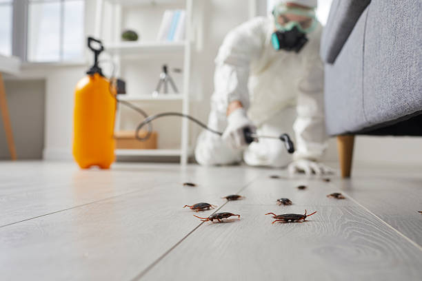 Trusted Mosquito Control service in San Joaquin, CA - Nex Pest Control